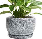 SQOWL 8 inch Plant Pot - Ceramic Planter with Drainage Hole and Saucer, Round Flower Pot for Indoor Plants, Decorative Planter Outdoor, Patio Balcony Decor, House Warming Gifts, Black and White