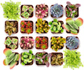 Shop Succulents Endless Summer Succulent Pack Collection - Live Mini Succulent Plants, Low Maintenance, Colors & Textures - Wedding and Party Favors, Gift & Garden, Pack of 32