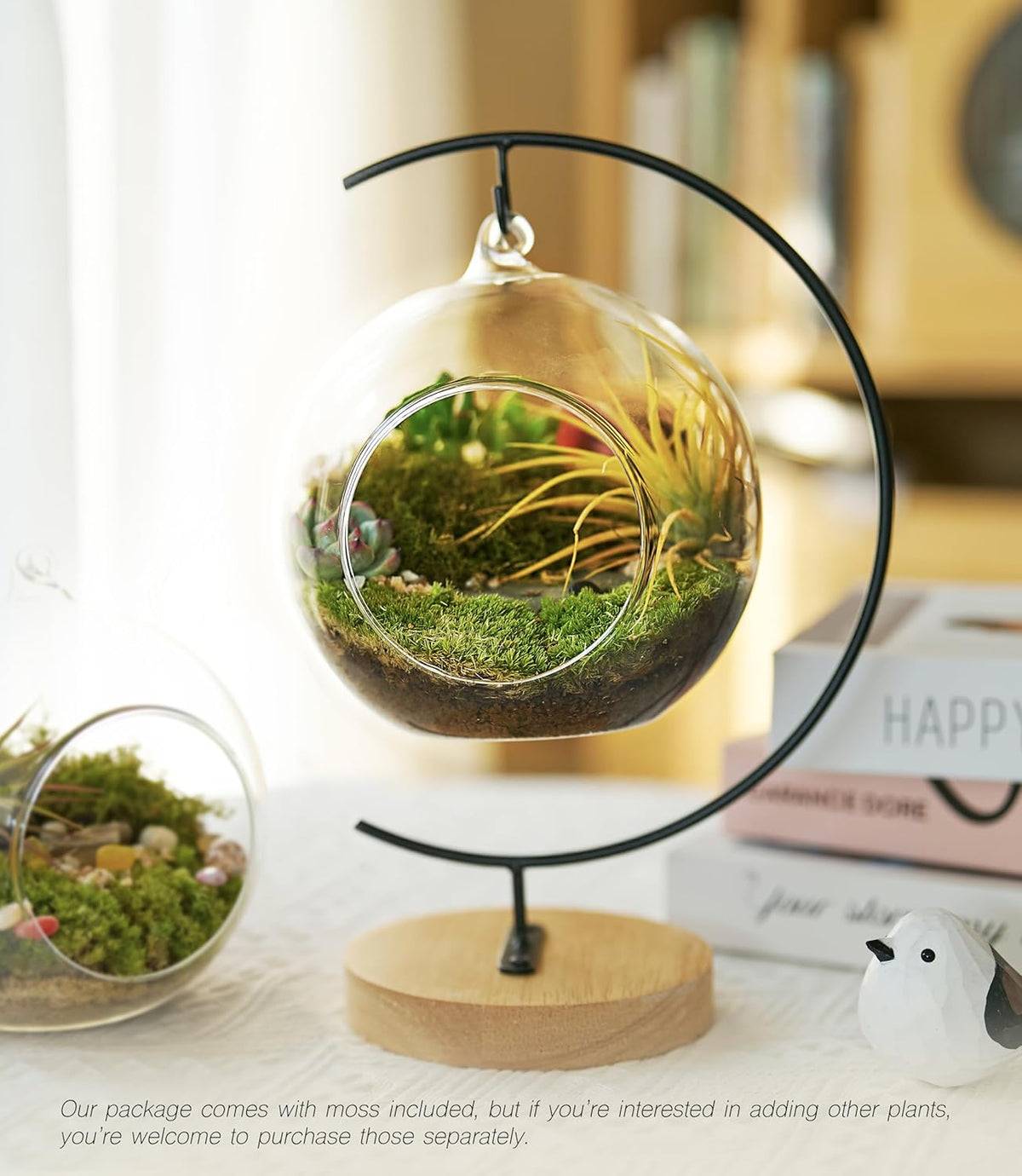 15-Piece Terrarium Kit with Live Moss – DIY Glass Globe Set with Tools, Soil, Stones & Spray Bottle – Indoor Mini Garden Gift for Plant Lovers, Home Decor & Zen Craft