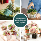 Shop Succulents Assorted Succulent Plant Pack Bulk Collection - Live Mini Succulent Plants, Low Maintenance, Mixture of Colors & Textures - Wedding and Party Favors, Gift & Garden, Pack of 256