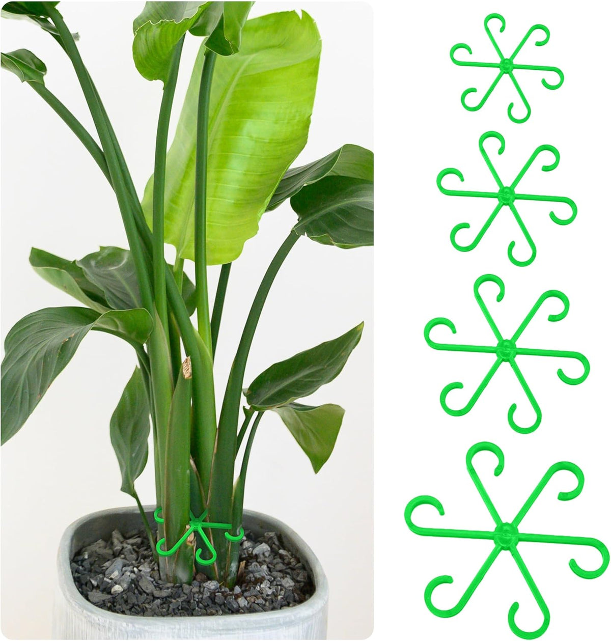 Plant Stem Support Set, 8Pcs 4 Sizes Plant Trellis Rings for Climbing Plants Indoor, Support Holder Ring for Different Growth Stages, Climbing Houseplant Trellis for Potted (Green)