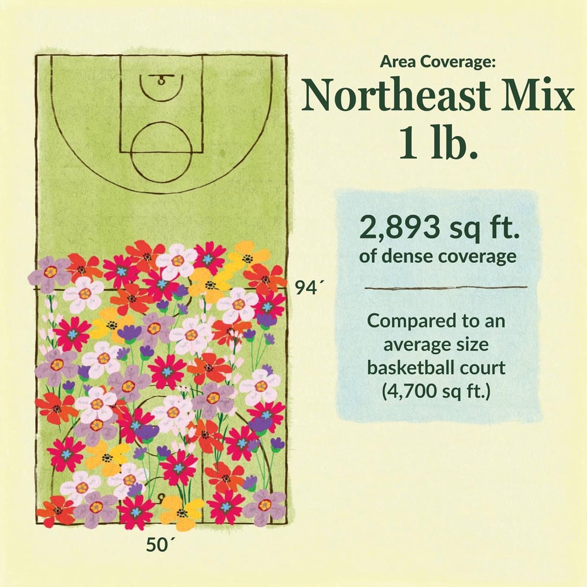Ferry-Morse Northeast Mix Bulk Wildflower Seeds, 1lb
