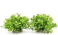 BEGONDIS Aquarium Decorations Fish Tank Artificial Green Water Plants Made of Soft Plastic, Safe for All Fish & Pets (Style-3)