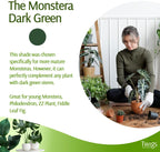 Twigs - Monstera Plant Support Stakes for Indoor & Outdoor Plants, Gardening Supplies, Garden Accessories, Trellis, Moss Pole, & Ring Alternative - Monstera (Dark Green), 10 Pack, 12" L, Mini Twigs