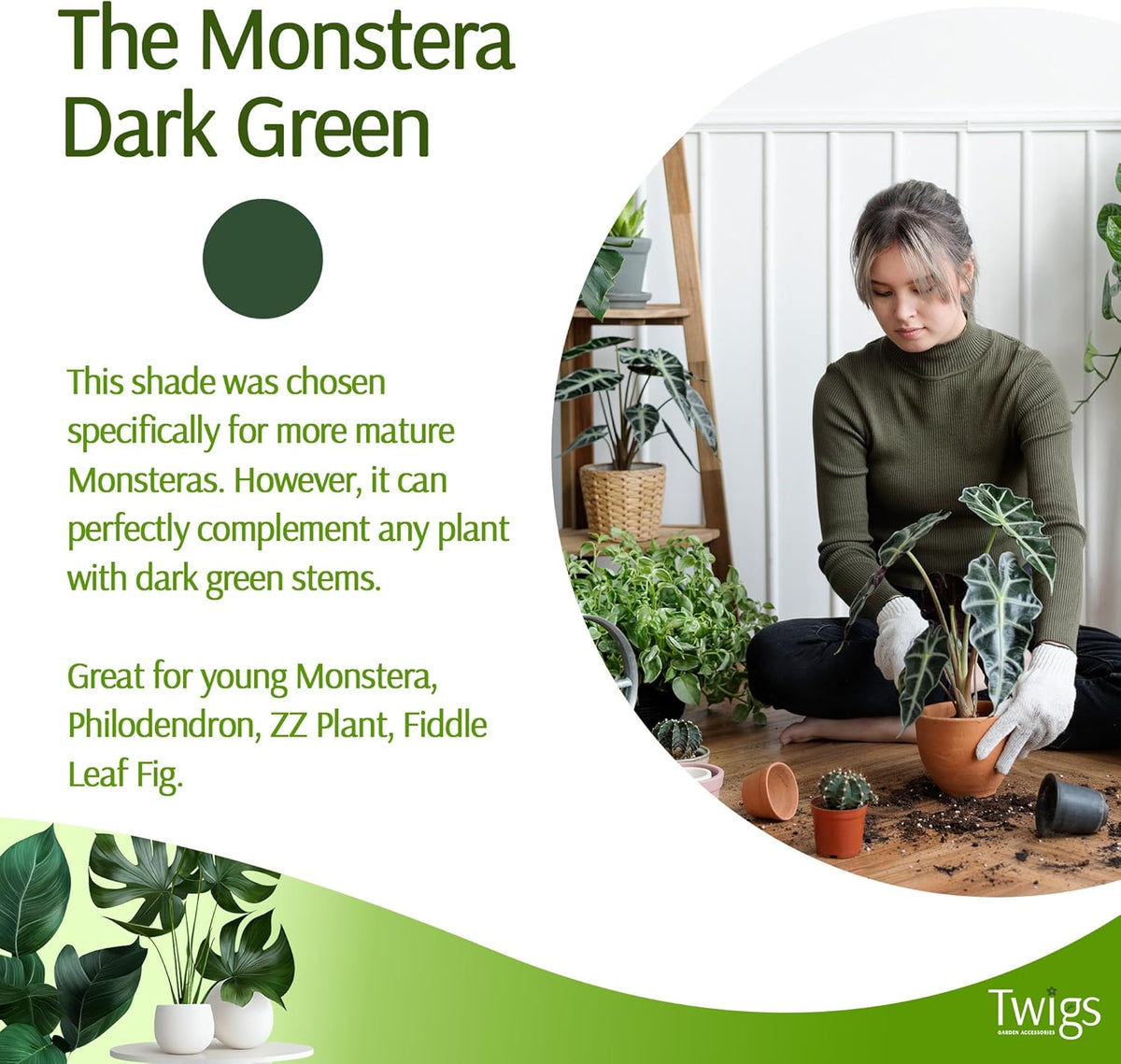 Twigs - Monstera Plant Support Stakes for Indoor & Outdoor Plants, Gardening Supplies, Garden Accessories, Trellis, Moss Pole, & Ring Alternative - Monstera (Dark Green), 10 Pack, 12" L, Mini Twigs