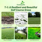 Outsidepride T-1 Creeping Bentgrass Seed - 2 lbs Fine-Bladed, Premium Quality Turf, Grass Seed for Smooth Surface, & High-Traffic Areas, Ideal Grass for Golf Courses Putting Greens, & Fairways