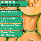 Woods Creek Seeds: Hales Best Jumbo Cantaloupe Melon Seeds for Planting - Over 130 Heirloom Non-GMO Cantaloupe Seed for Planting - Beginner Friendly Fruit Seeds for Home Gardening