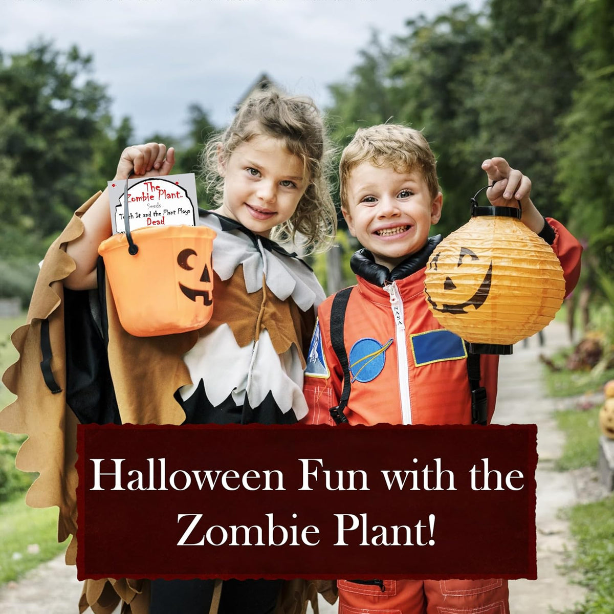 Zombie Plant Seed Packets – Grow a Live Sensitive Plant That Plays Dead When Touched! Indoor Plant Seeds & Educational STEM Activity | House Plant Seeds | Unique Garden Seeds – 2 Pack