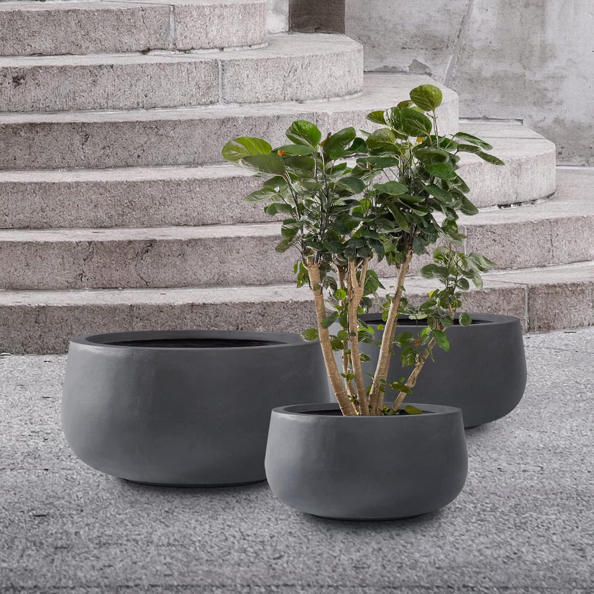 Kante 19.6",15.7",11.8" Dia Round Concrete Planters Set of 3, Outdoor Indoor Garden Plant Pots with Drainage Hole and Rubber Plug, Modern Curvaceous Design, Charcoal
