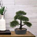 Artificial Bonsai Tree Juniper Faux Plants Indoor Small Fake Plants Decor with Black Plastic Pots for Home Table Office Desk Bathroom Shelf Bedroom Living Room Farmhouse Decorations