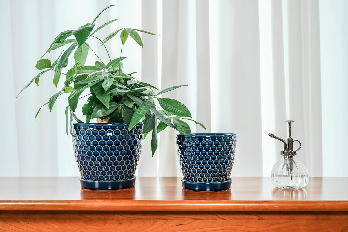 Docrin Ceramic Plant Pots Indoor, 6.6 + 5.5 Inch Planters with Drainage Holes and Saucer for Home/Office - Set of 2 /Blue Honeycomb
