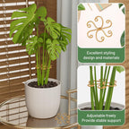 4PCS Iron Monstera Support, Uniquely Designed Plant Support Stakes for Indoor Plants, Stable Plant Stakes and Supports, Turtle Shell Bamboo Clamp Set for Thriving Growth