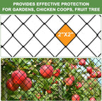 Bird Netting - 25'x100' Heavy Duty Nylon Net with 2' Mesh for Garden Protection, Chicken Coop, Fruit Tree, Orchard