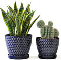 Docrin Ceramic Plant Pots Indoor, 6.6 + 5.5 Inch Planters with Drainage Holes and Saucer for Home/Office - Set of 2 /Blue Honeycomb