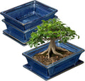 Bonsai Pots Small Shallow Succulent Planters for Live Bonsai Trees Set of 2, 7.5" Ceramic Pot for Succulents Indoor with Drainage Hole and Saucer, Outdoor Cactus Plant Bonsai Pot