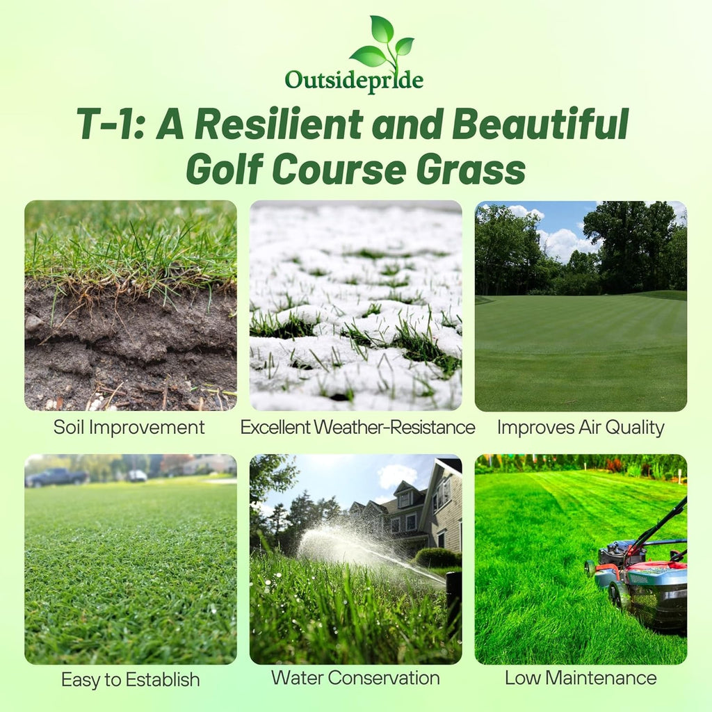 Outsidepride T-1 Creeping Bentgrass Seed - 1 lbs Fine-Bladed, Premium Quality Turf, Grass Seed for Smooth Surface, & High-Traffic Areas, Ideal Grass for Golf Courses Putting Greens, & Fairways
