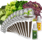 inbloom Salad Seed Pod Kit Compatible with AeroGarden, Ahopegarden, iDoo, MUFGA Hydroponics Growing System, 400+ Mixed Seeds with American Fast/Paris Island/Buttercrunch/Romaine Lettuce (12-Pod)