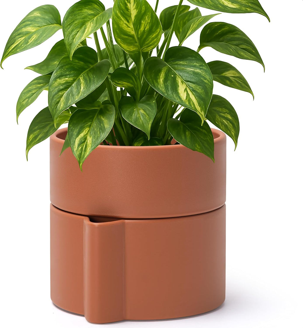 Phoenix Vine 6.5 Inch Self-Watering Planter Pot with Terracotta Insert, Deep Water Reservoir, and Ceramic-Alike BPA-Free Plastic Pot for Plant, Modern Planter for Houseplants, Terracotta, 53-A-S-3