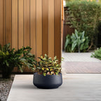 Kante 13.4" Dia Round Curvy Concrete Planter, Large Plant Pots with Drainage Hole and Rubber Plug for Indoor Outdoor Plants, Flower Pot for Home Garden Patio Porch, Charcoal