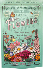 Wildflower Bulk, Southeastern Flower, 1 Lb. 640,000+ Seeds, Annual & Perennial Flowers with Native Southeastern Blooms, Pollinator Flower