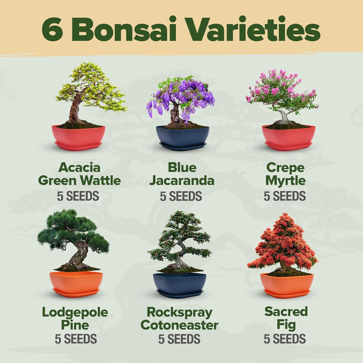 HOME GROWN 𝗨𝗦𝗔 Bonsai Tree Kit – 6 Heirloom Varieties with Unique Pots – DIY Bonsai Starter Kit for Adults & Beginners – Christmas Gift for Men Women Gardeners Plant Lovers – Indoor Growing Kit