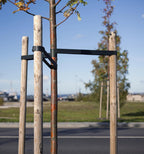 Greenes Fence RC80NR612U Round Lodge Pole Stake, Untreated