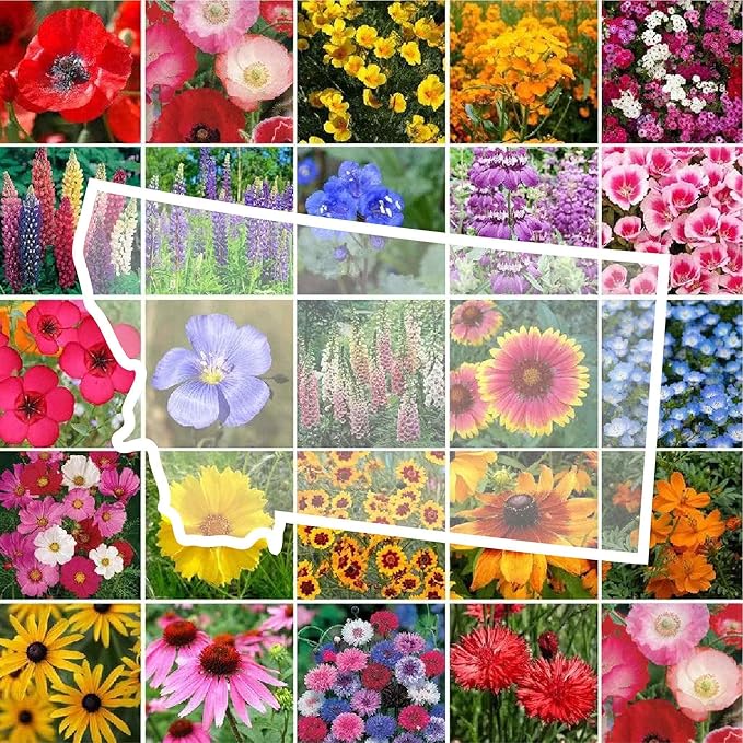 Eden Brothers Montana Wildflower Mixed Seeds for Planting, 1 oz, 30,000+ Seeds with Foxglove, Bluebell | Attracts Pollinators, Plant in Spring or Fall, Zones