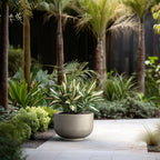Kante 17.7 Inch Dia Concrete Bowl Planter, Large Tapered Bottom Plant Pot with Drainage, Smooth Weathered Concrete Finish with Warm Brown Interior, Ideal for Porch, Home, Garden, Patio