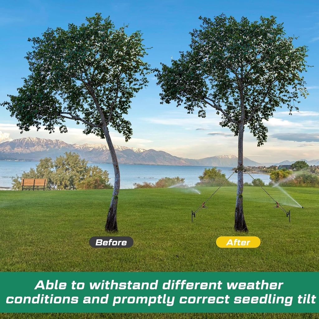 Sintuff 36 Pcs Heavy Duty Tree Stake Kits Stake and Support for Young Leaning Tree Anchor Straightening Kit, 15.8'' Support Straps, 11.8'' Steel Stakes, 13.12ft Rope(Army Green)