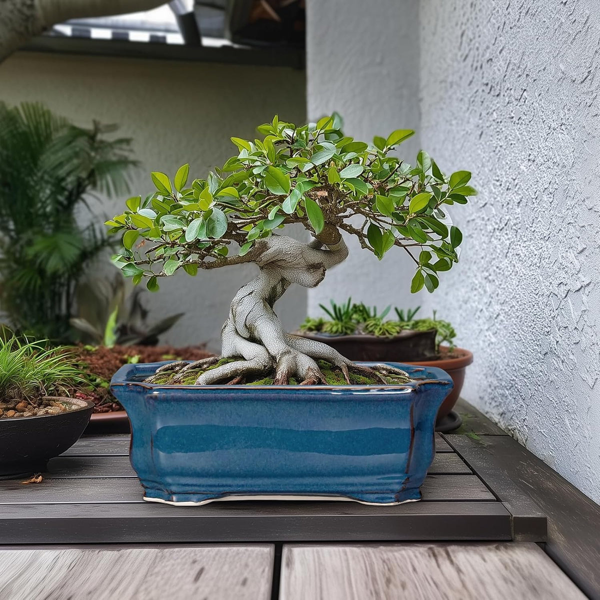 Bonsai Tree Pot - 13.7 Inch Large Ceramic Succulent Planter for Indoor Outdoor, Rectangle Plant Pot with Drainage Hole, Decorative Flower Pots, Home Decor, Gifts for Plant Lovers, Retro Blue