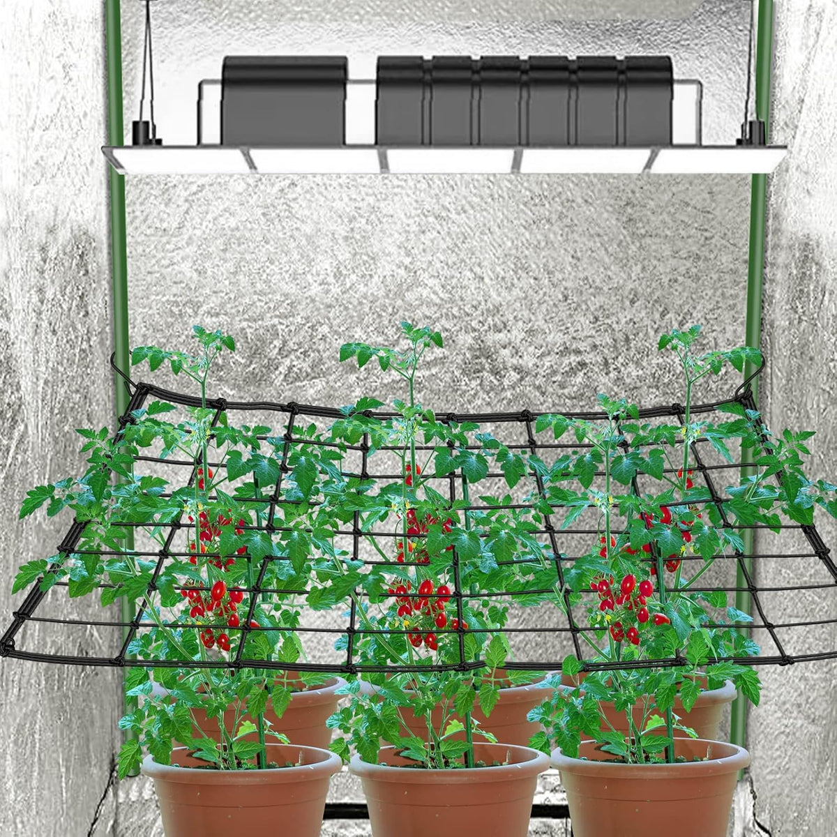 Scrog net 4x4 Trellis Net for Grow Tent,Heavy Duty Elastic Trellis Net with Hooks for Indoor Plant Growing Tents Garden Plant Net