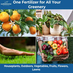 20-20-20 Water-Soluble Fertilizer – Powder for Liquid Plant Food for Indoor & Outdoor Plants, Orchids, Vegetables, Lawns, Flowers – 20 20 20 Fertilizer 1 Quart (2 lbs)