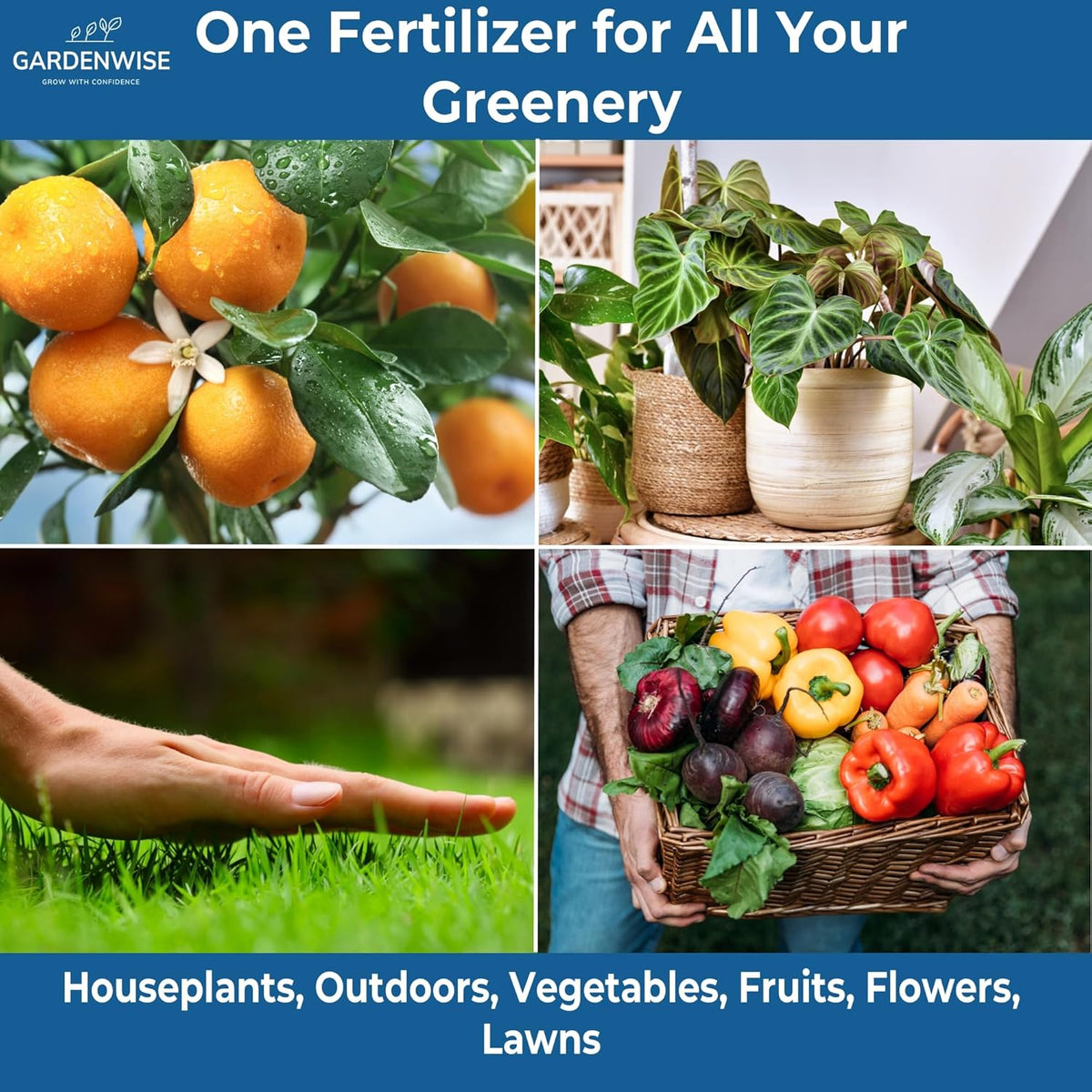 20-20-20 Water-Soluble Fertilizer – Powder for Liquid Plant Food for Indoor & Outdoor Plants, Orchids, Vegetables, Lawns, Flowers – 20 20 20 Fertilizer 1 Quart (2 lbs)