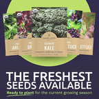 Organic Lettuce & Greens Seed Variety Pack - 25 Individual Packs - 2026 Season - Lacinato Kale, Roquette Arugula, Red Oakleaf Lettuce and More! for Indoor & Outdoor Planting