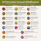 Eden Brothers New York Wildflower Mixed Seeds for Planting, 1/4 lb, 120,000+ Seeds with Coneflower, Cosmos | Attracts Pollinators, Plant in Spring or Fall, Zones