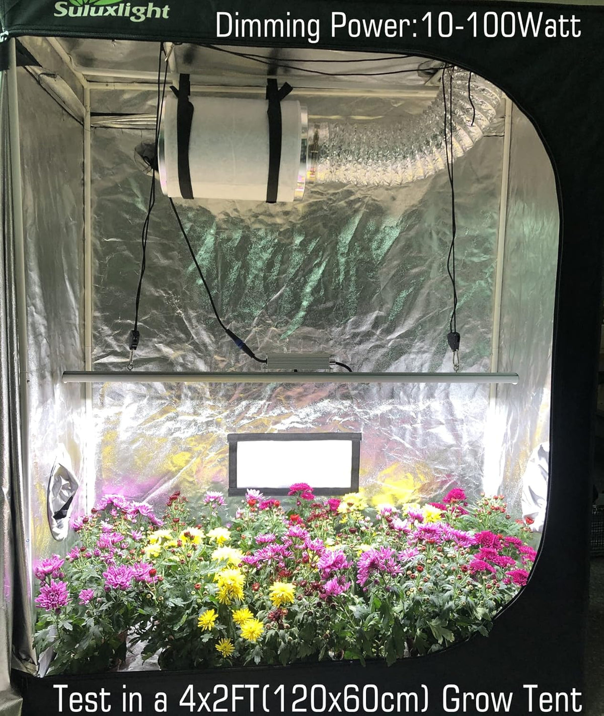 LED Grow Light Lamp for Indoor Plant Seedling Germination Vege Flower Growth,Full Spectrum CRI 90+ High Output White Light CCT 6500K,Isolated Dimming Driver with On/Off Switch,100 Watt,4Feet