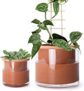 Phoenix Vine 4 Inch 6 Inch Self Watering Plants Pots, Design Terracotta Pots for Plants, Indoor Cylinder Terra Cotta Planter with Glass Vase Set, 51-A-G-46