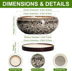 Succulent Planter 6 Inch - Ceramic Bonsai Pots with Drainage Hole and Tray, Shallow Plant Pot Indoor Outdoor, Cactus Succulent Pot, Round Bonsai Planter, Home Decor, Plant Lover Gift, White