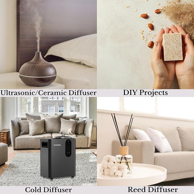 Hotel Diffuser Oil Inspired by The Delano Beach Club Hotel Scent - 500 mL 16.9 fl oz - Essential Oil Blend Orange, Green Tea & Jasmine for Aromatherapy Diffusers - California Breeze
