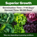 HOME GROWN Lettuce Seeds for Planting - 8 Varieties Non-GMO Heirloom Salad Greens Seeds - 9000+ USA-Sourced Vegetable Seeds for Planting Outdoors, Indoors, Hydroponic Garden