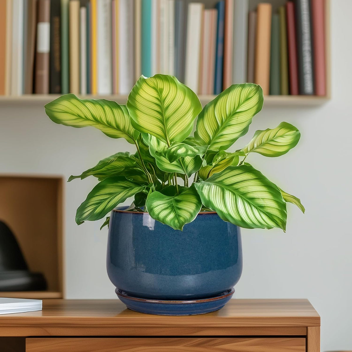 G EPGardening Ceramic Planter 6 Inch - Round Modern Ceramic Pot for Plants with Drainage and Plant Tray Indoor for Flower, Apartment Decor, Housewarming Gifts New Home, Retro Blue