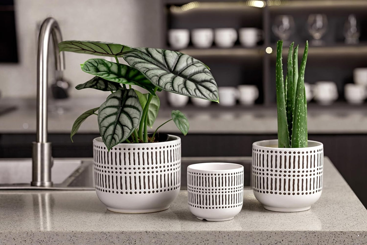 Docrin Plant Pots Ceramic: 6.5+5.3+4 Inch Flower Pots with Drainage Holes for Plants, Modern Flower Pots for Home and Office, Indoor-Outdoor - Set of 3/White and Black