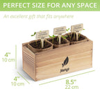 AVERGO Wildflower Seed Mix Growing Kit - Includes Perennial & Annual Wild Flowers, Burlap Planters, Soil, Wooden Box, and Gardening Tools for Indoor Garden and Patio Planting
