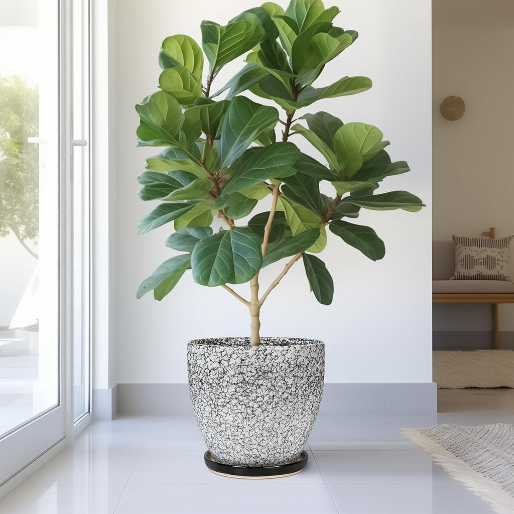 10 Inch Plant Pot - Ceramic Planter for Indoor Outdoor, Round Large Plant Pots, Modern Planter with Drainage Hole and Tray, Home Room Office Garden Decor, Gifts for Women Men, White-Black