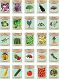Set of 25 Super Food Seed Packets – Ultimate High-Yield, Nutrient-Dense Vegetable Varieties for Healthy Home Gardens – Non-GMO, Heirloom Seeds