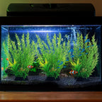 Fish Tank Accessories Large Plants, Green Fish Tank Decorations, Aquarium Decor Plastic Plants 3pcs