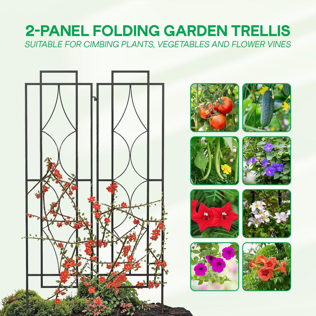 IDZO 2-Piece Diamonds Design Decoration Trellis, Metal Decorative Trellis for Climbing Plants Outdoor, Garden Trellis for Climbing Plants, Climbing Rose Trellis, 48-Inch Tall Each, Black