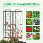 IDZO 2-Piece Diamonds Design Decoration Trellis, Metal Decorative Trellis for Climbing Plants Outdoor, Garden Trellis for Climbing Plants, Climbing Rose Trellis, 48-Inch Tall Each, Black