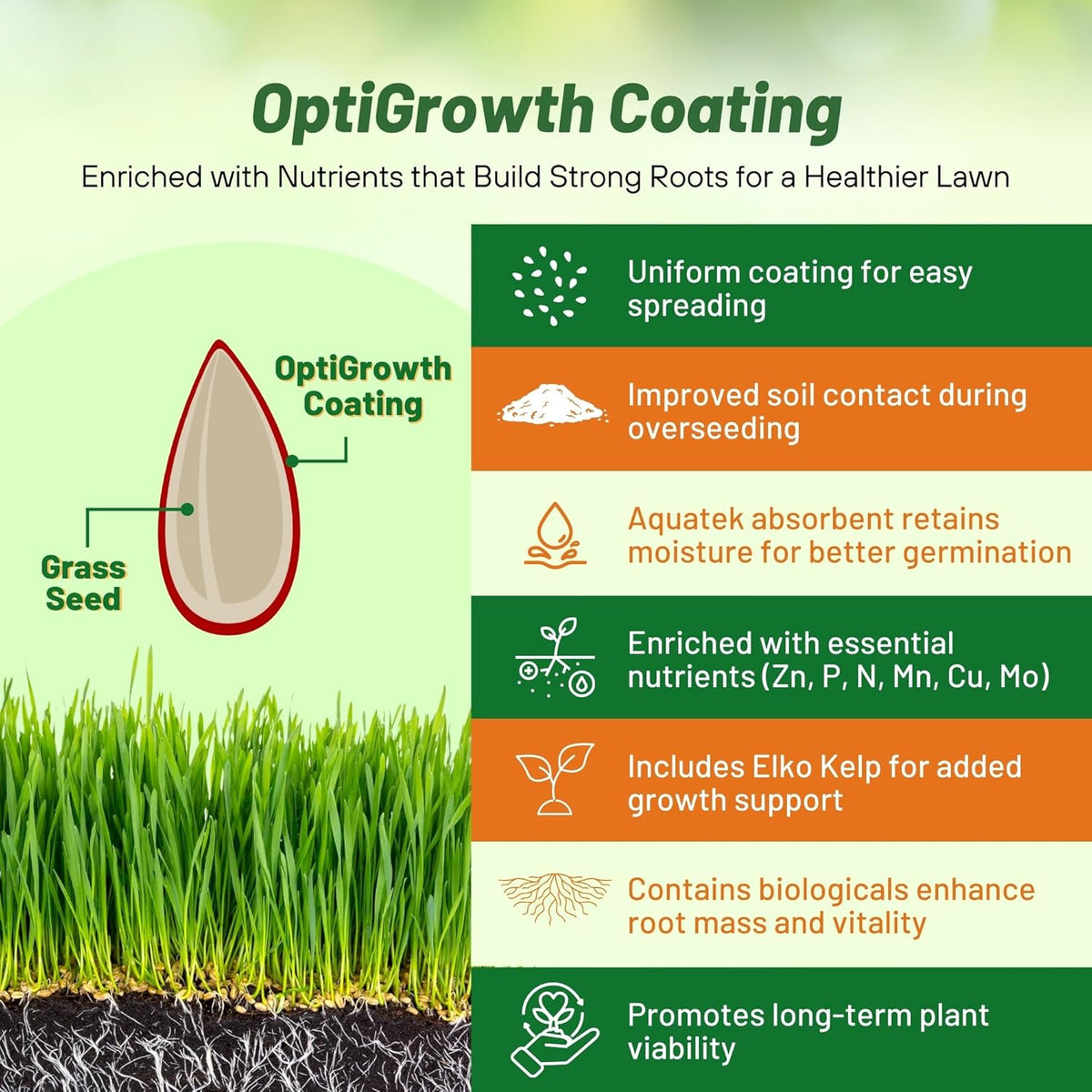 Outsidepride Hard Fine Fescue Grass Seed - 5 lbs. Low-Growing, Drought & Shade-Tolerant, OptiGrowth Coated Seed for Lawn & Turf, Ideal for Low-Maintenance, Dense, & Resilient Green Ground Cover
