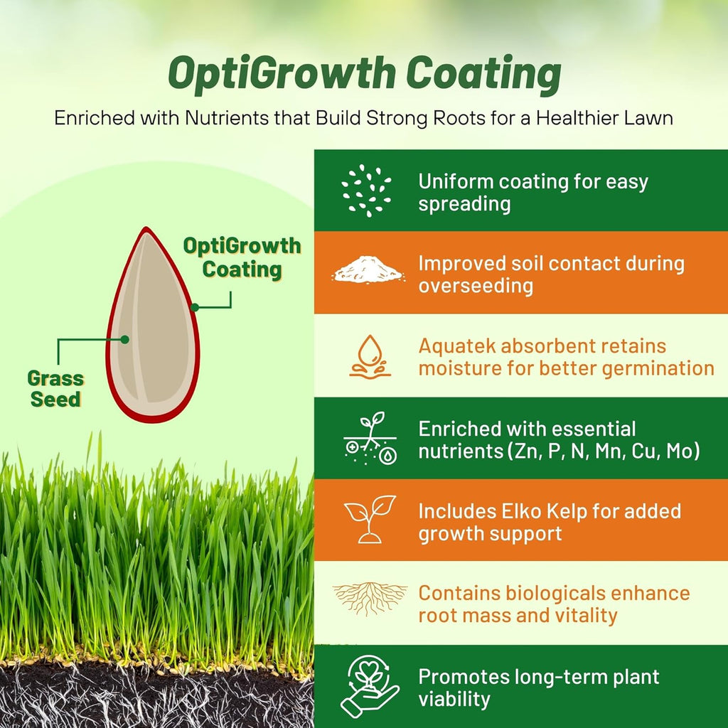 Outsidepride Sheeps Fine Fescue Grass Seed - 5 Lbs. Perennial Heat & Drought Tolerant Dense Green, Traffic-Resistant Turf for Shaded Environments w/OptiGrowth Coating for Seed Enhancement
